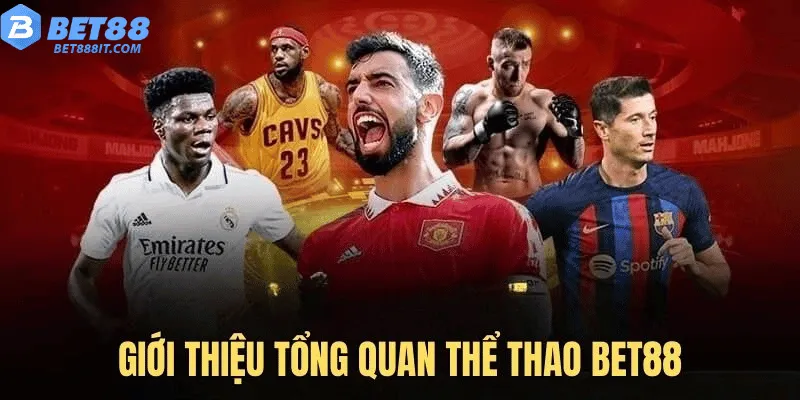 Giới thiệu tổng quan thể thao bet88