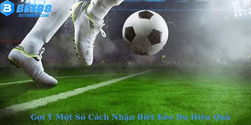 Gợi Ý Một Số Cách Nhận Biết Kèo Dụ Hiệu Quả