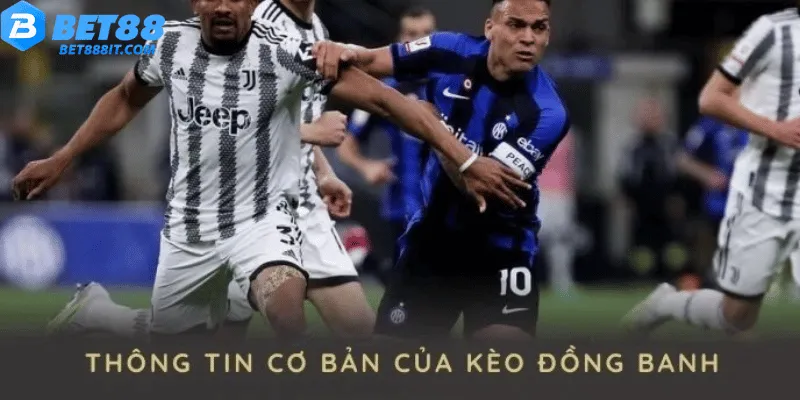 Thông tin cơ bản về kèo đồng banh