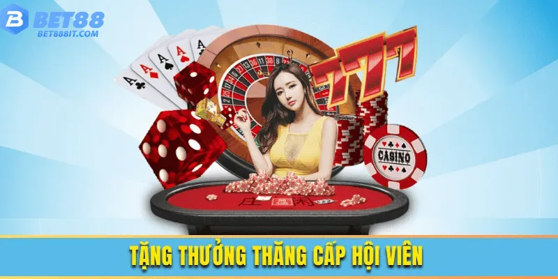 Ưu Đãi Thường Xuyên Cho Người Chơi Mới Và Cũ